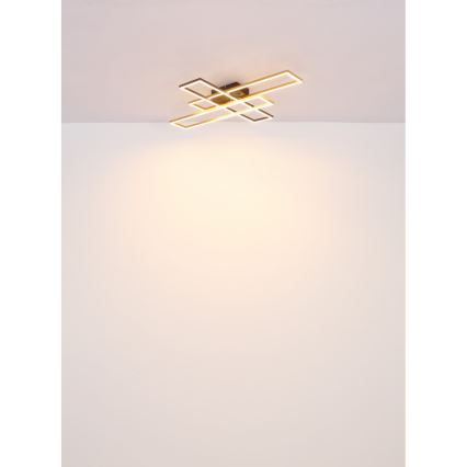 Globo - Светодиодный потолочный светильник LED/30W/230V 3000K 60x80 см черный/золотистый