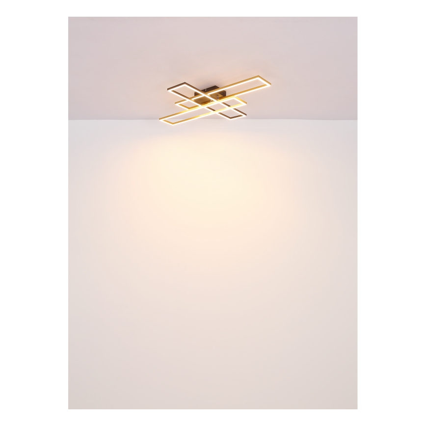 Globo - Светодиодный потолочный светильник LED/30W/230V 3000K 60x80 см черный/золотистый