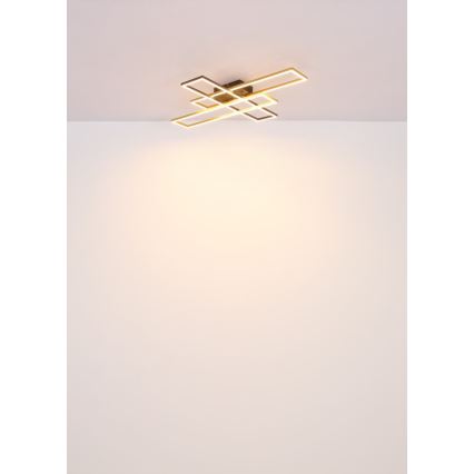 Globo - Стельовий LED світильник LED/40W/230V 3000K 60x80 см чорний/золотий
