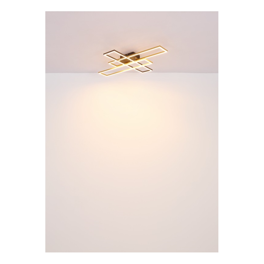 Globo - Стельовий LED світильник LED/40W/230V 3000K 60x80 см чорний/золотий