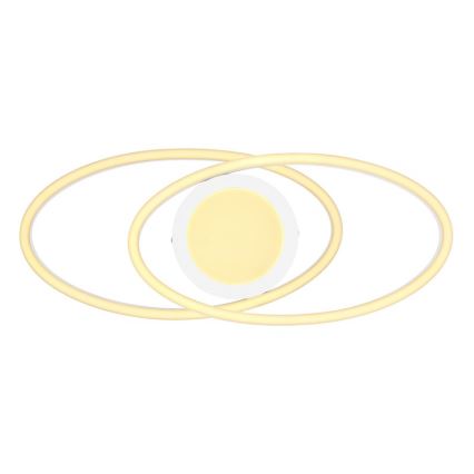 Globo - Світлодіодний стельовий світильник LED/24W/230V