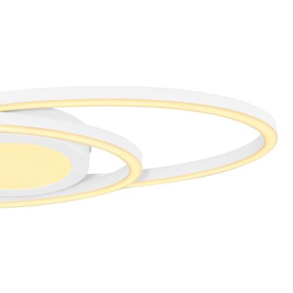 Globo - Світлодіодний стельовий світильник LED/24W/230V