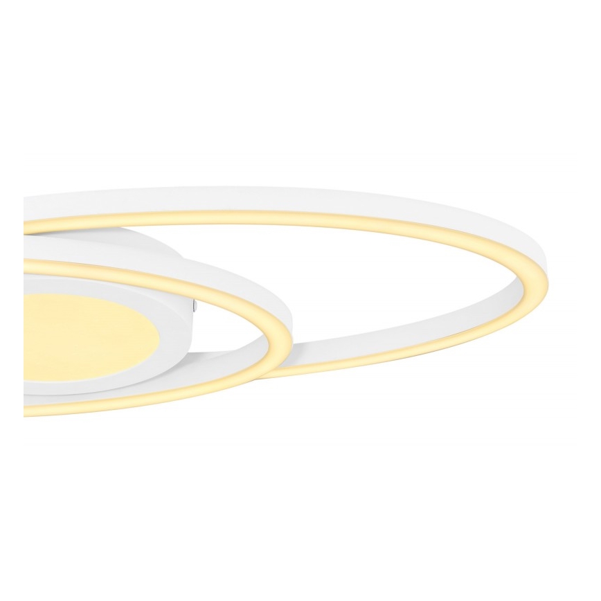 Globo - Світлодіодний стельовий світильник LED/24W/230V
