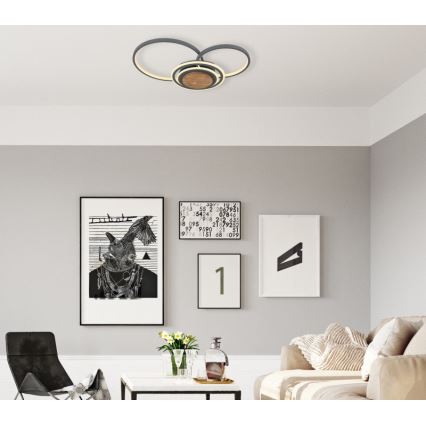 Globo - Стельовий LED світильник LED/40W/230V