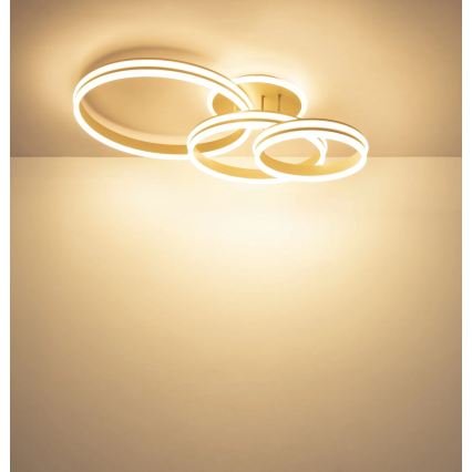 Globo - LED Диммируемый потолочный светильник LED/72W/230V 3000K 79,5x50 см