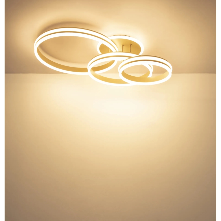 Globo - LED Диммируемый потолочный светильник LED/72W/230V 3000K 79,5x50 см