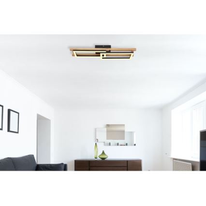 Globo - Светодиодный потолочный светильник LED/20W/230V