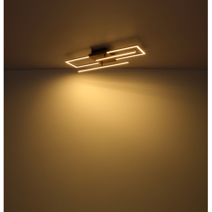 Globo - Светодиодный потолочный светильник LED/18W/230V