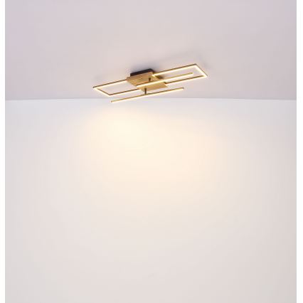 Globo - Светодиодный потолочный светильник LED/18W/230V