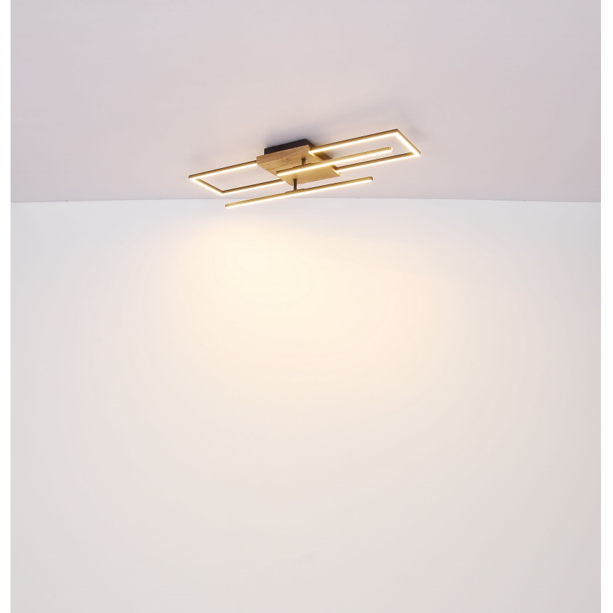 Globo - Светодиодный потолочный светильник LED/18W/230V