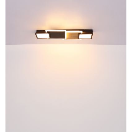 Globo 67279-30 - LED Потолочный светильник CAROLINE LED/30 Вт/230 В 25x71,5 см бежевый/чёрный