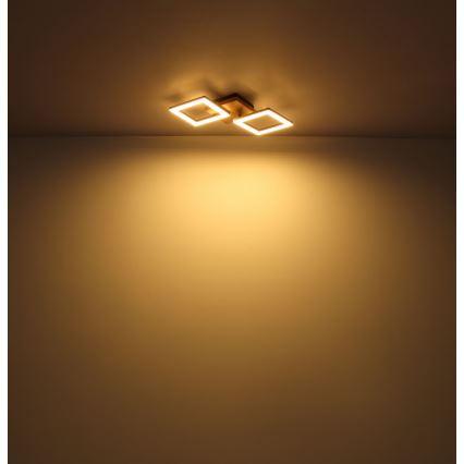 Globo - Пристельова LED люстра LED/18W/230V