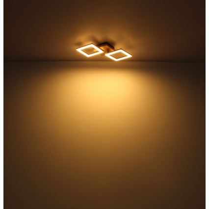 Globo - Светодиодная припотолочная люстра LED/30W/230V