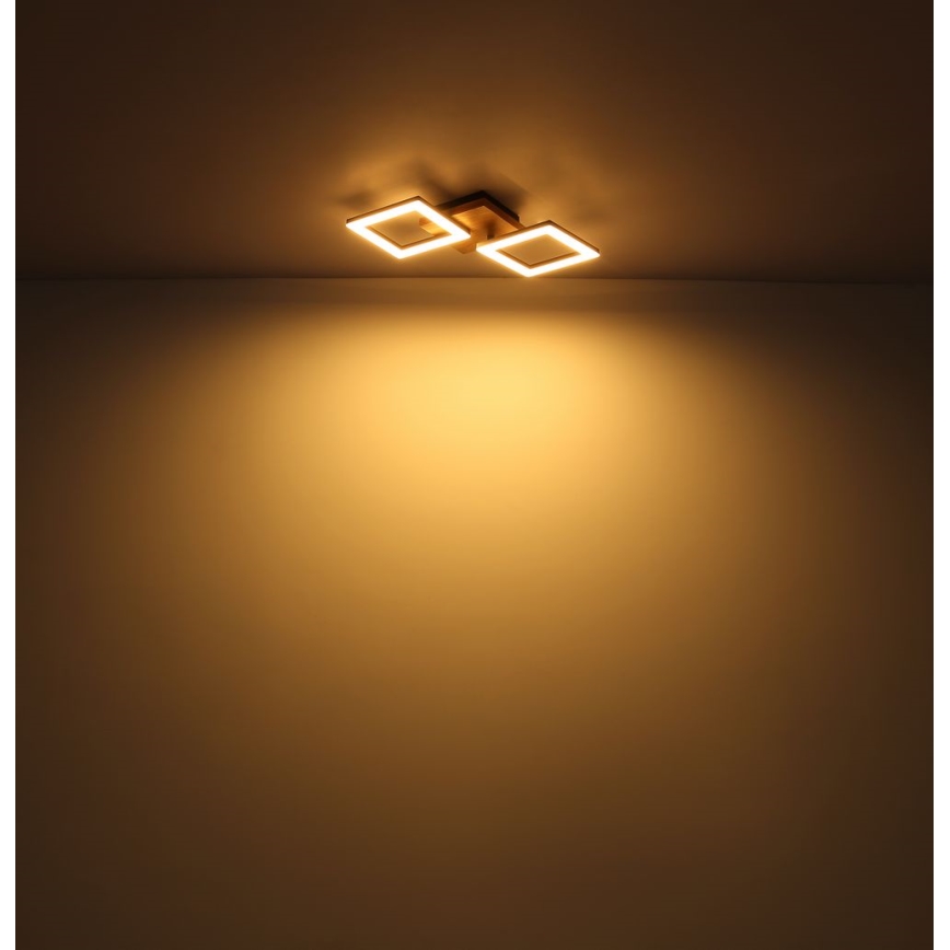 Globo - Светодиодная припотолочная люстра LED/30W/230V