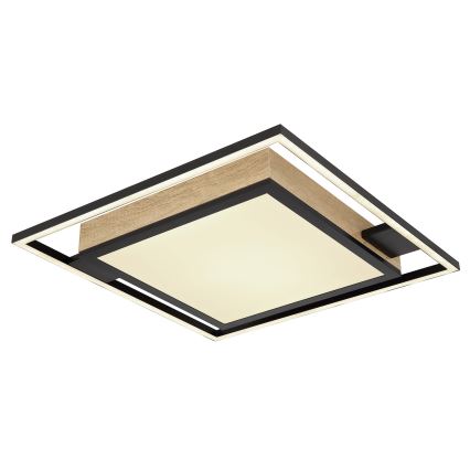 Globo - Светодиодный потолочный светильник с регулированием яркости LED/40W/230V 2700-6500K + дистанционное управление