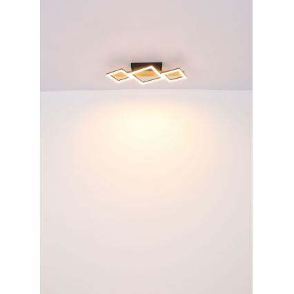 Globo - Светодиодный потолочный светильник LED/29W/230V