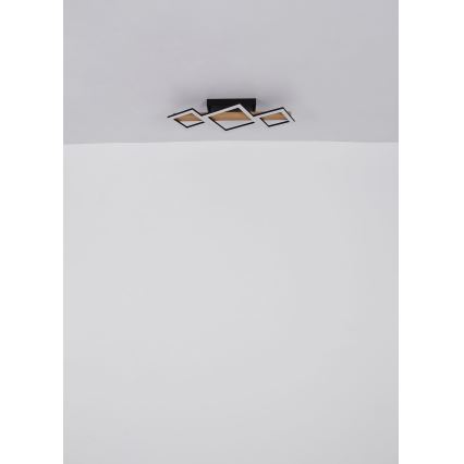 Globo - Светодиодный потолочный светильник LED/29W/230V