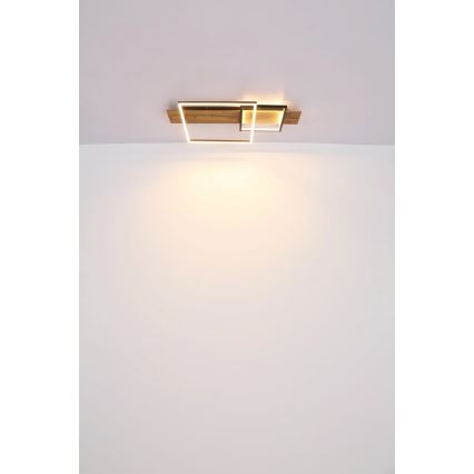 Globo 67289D1 - светодиодный потолочный светильник VANNI LED/24 Вт/230 В 40×75 см, коричневый/чёрный