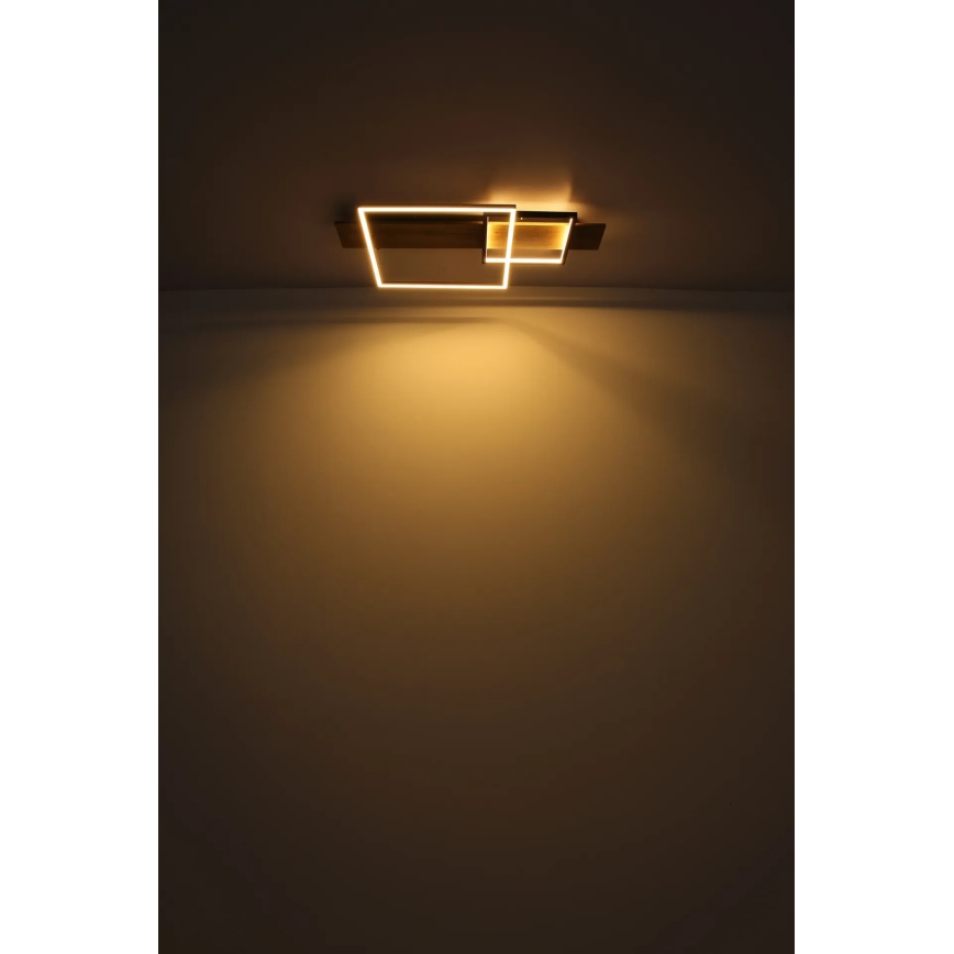 Globo 67289D1 - LED стельовий світильник VANNI LED/24W/230V 40x75 cm коричневий/чорний