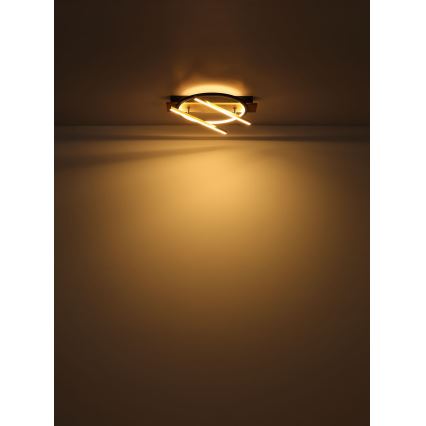 Globo - Стельовий LED світильник LED/32W/230V