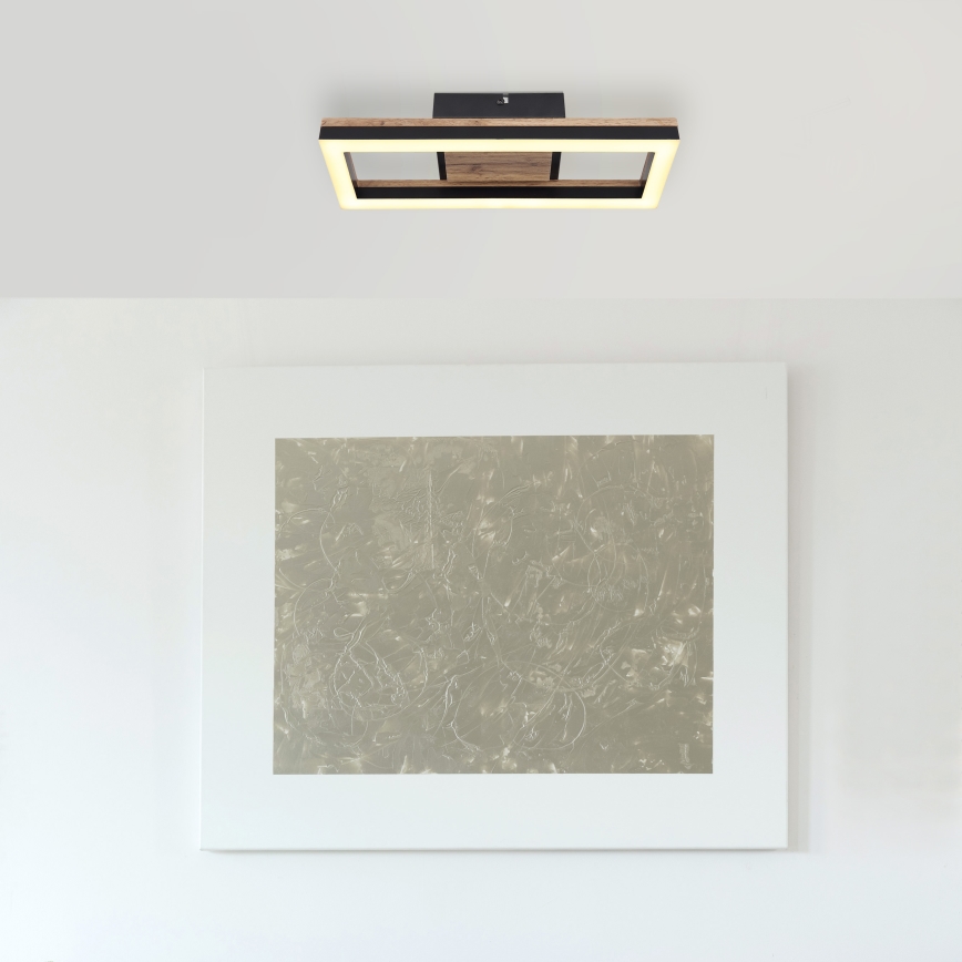 Globo - Светодиодный потолочный светильник LED/12W/230V