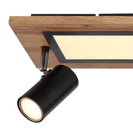 Globo - Світильник точковий LED/24W/230V + 3xGU10/5W