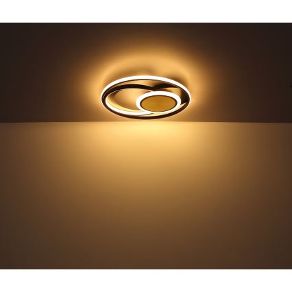 Globo - Стельовий LED світильник LED/24W/230V