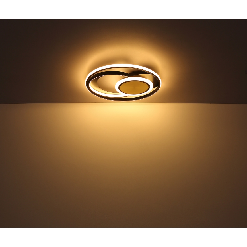 Globo - Стельовий LED світильник LED/24W/230V