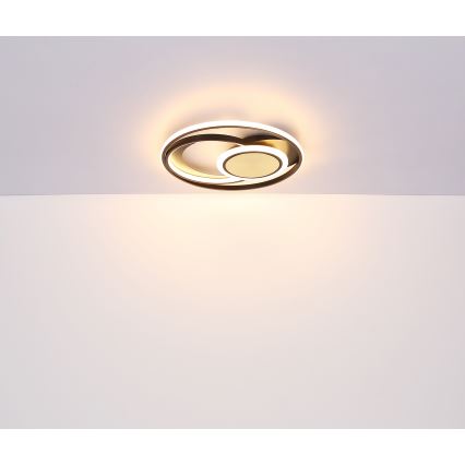 Globo - Стельовий LED світильник LED/24W/230V