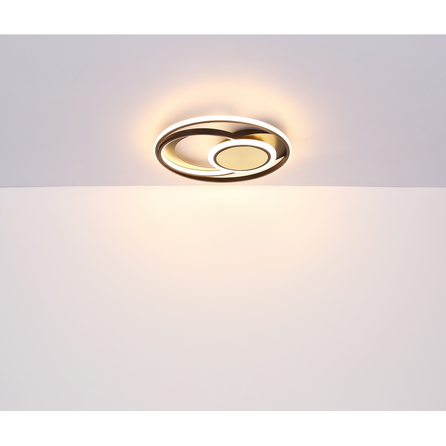 Globo - Стельовий LED світильник LED/24W/230V