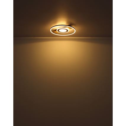 Globo - Стельовий LED світильник LED/24W/230V