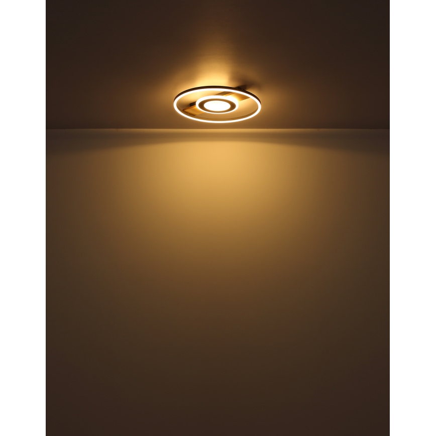 Globo - Стельовий LED світильник LED/24W/230V