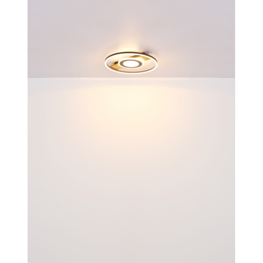 Globo - Стельовий LED світильник LED/24W/230V