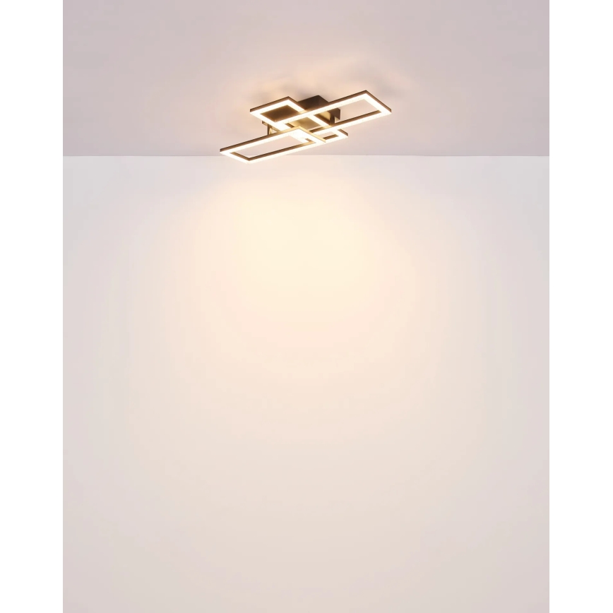 Globo - Светодиодный потолочный светильник LED/24W/230V