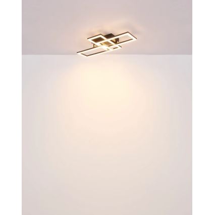 Globo - Светодиодный потолочный светильник LED/24W/230V