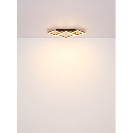 Globo - Стельовий LED світильник LED/24W/230V