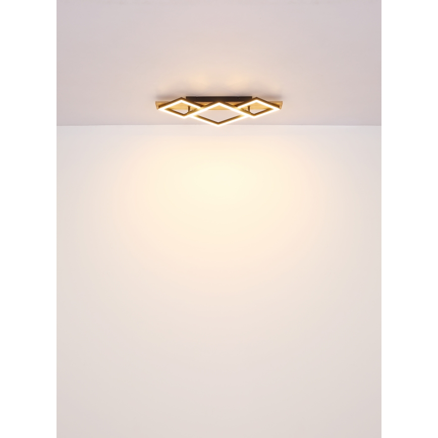 Globo - Светодиодный потолочный светильник LED/24W/230V