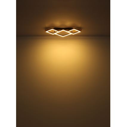 Globo - Светодиодный потолочный светильник LED/24W/230V