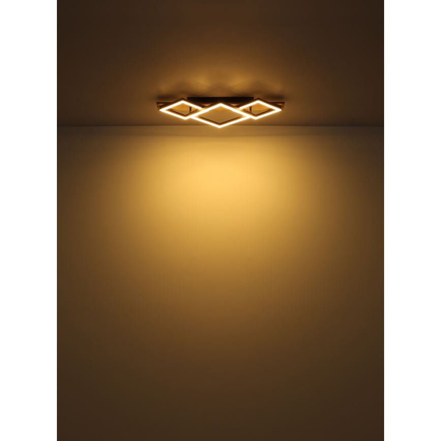 Globo - Светодиодный потолочный светильник LED/24W/230V