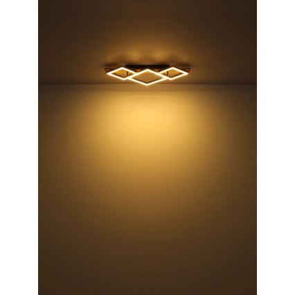 Globo - Светодиодный потолочный светильник LED/24W/230V