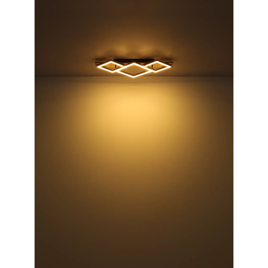 Globo - Светодиодный потолочный светильник LED/24W/230V