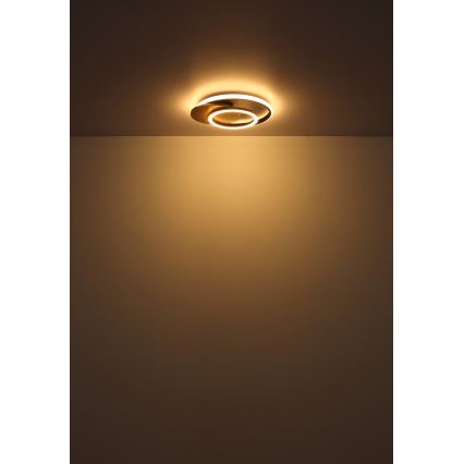 Globo - Светодиодный потолочный светильник LED/24W/230V черный