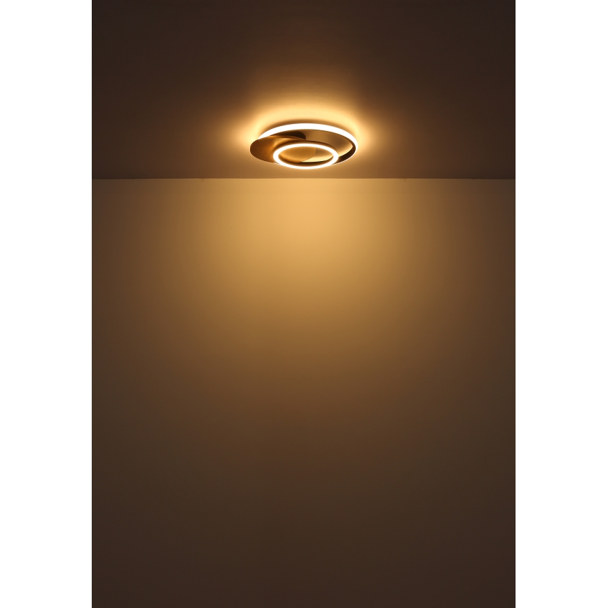 Globo - Светодиодный потолочный светильник LED/24W/230V черный