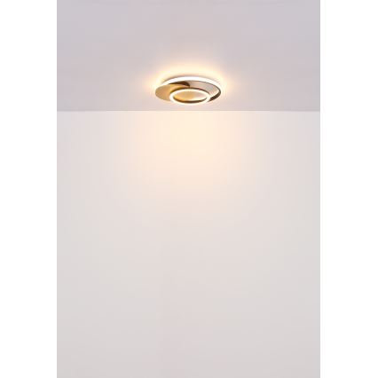 Globo - Светодиодный потолочный светильник LED/24W/230V черный