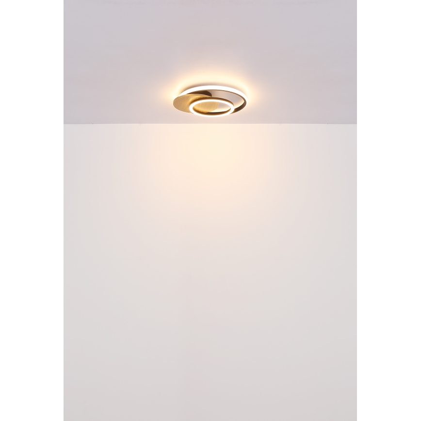 Globo - Светодиодный потолочный светильник LED/24W/230V черный