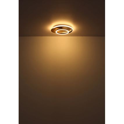 Globo - Светодиодный потолочный светильник LED/24W/230V
