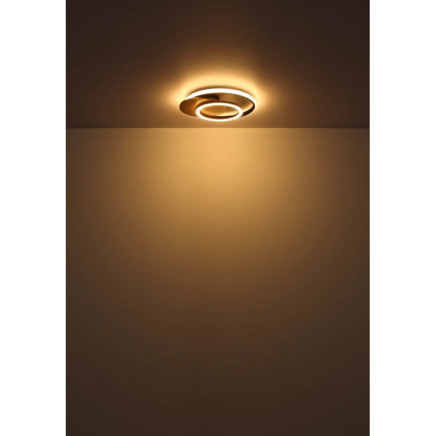 Globo - Светодиодный потолочный светильник LED/24W/230V