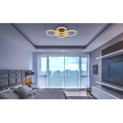 Globo - Светодиодный потолочный светильник с регулированием яркости LED/60W/230V 2700-6000K 56x78 см антрацит + дистанционное управление