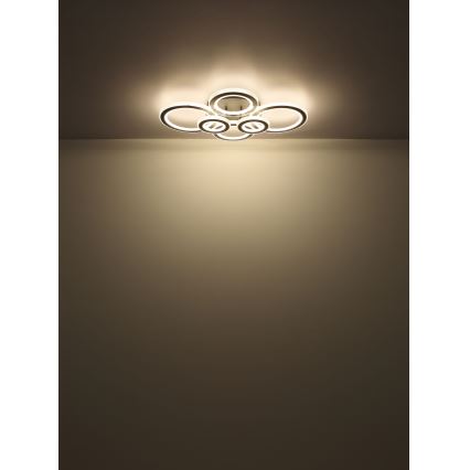 Globo - Светодиодный потолочный светильник с регулированием яркости LED/60W/230V 2700-6000K 56x78 см антрацит + дистанционное управление