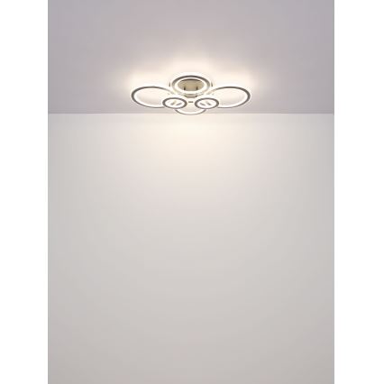 Globo - Светодиодный потолочный светильник с регулированием яркости LED/60W/230V 2700-6000K 56x78 см антрацит + дистанционное управление